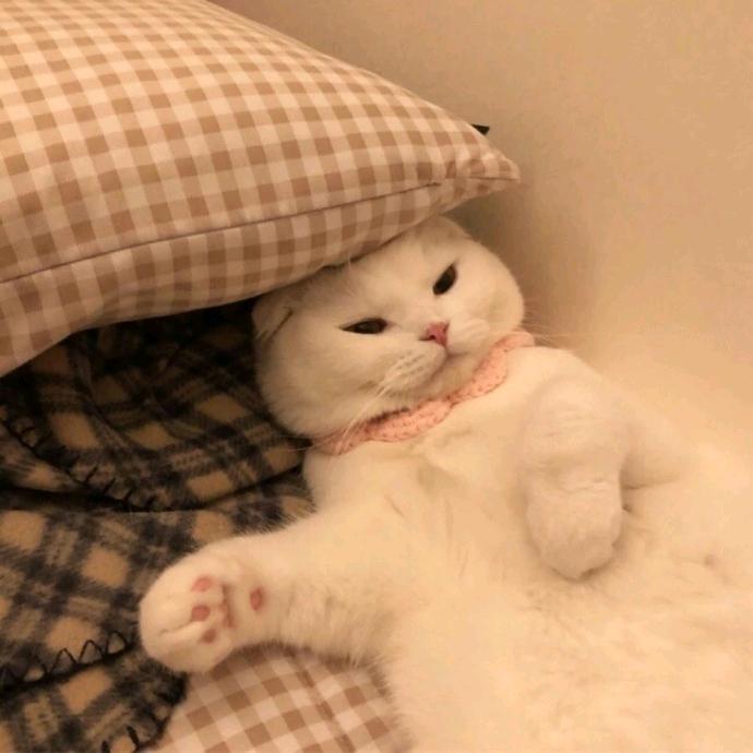 爱哭男孩儿总是输