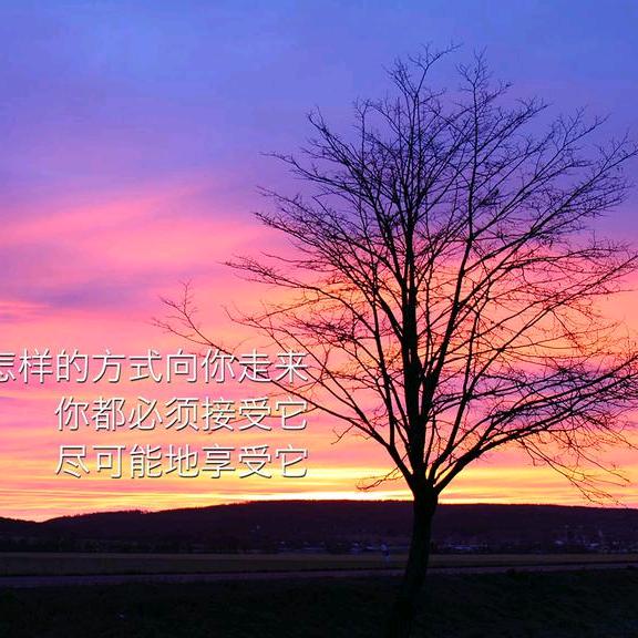 @言西早✔