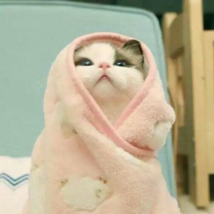 小小小小夕