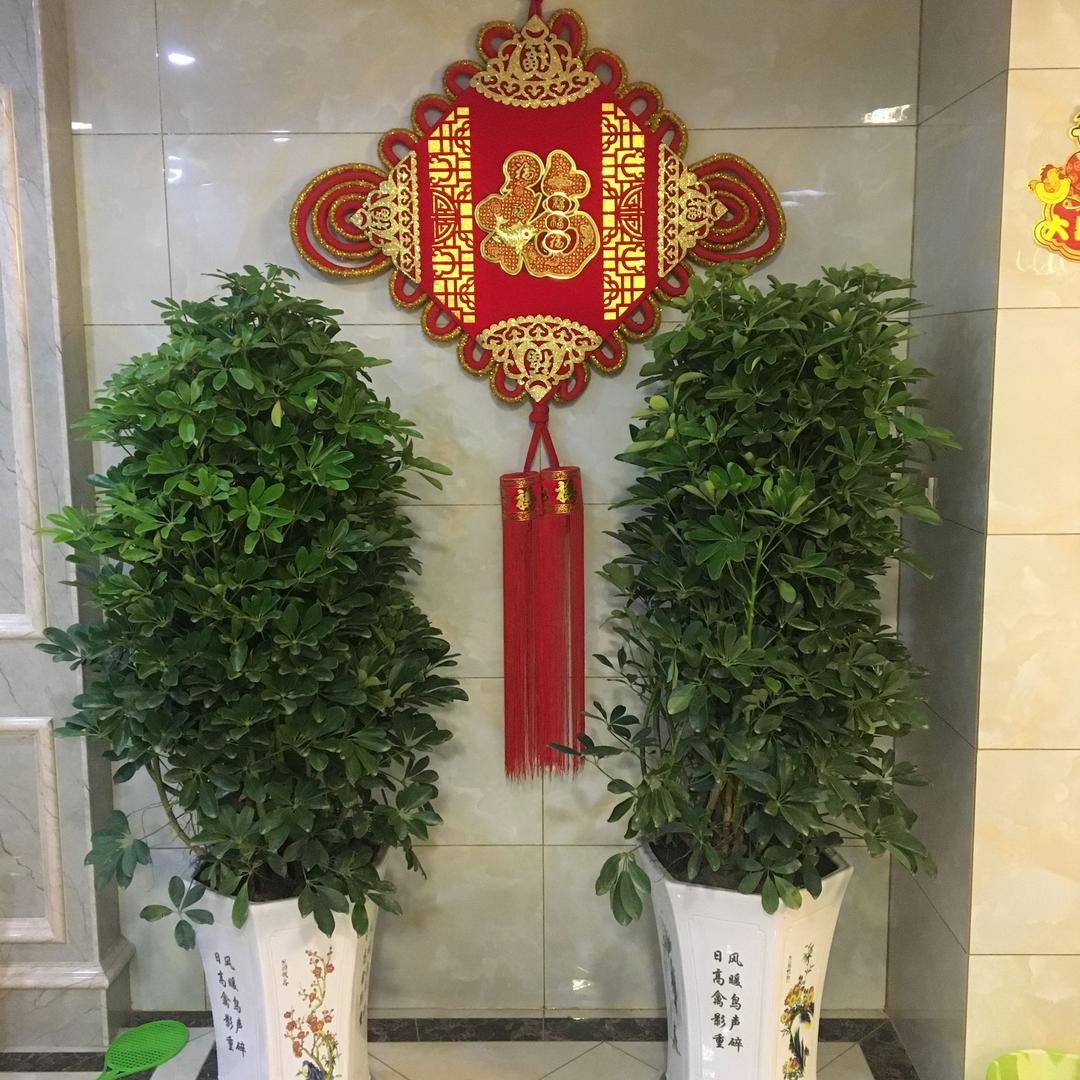 非凡不锈钢