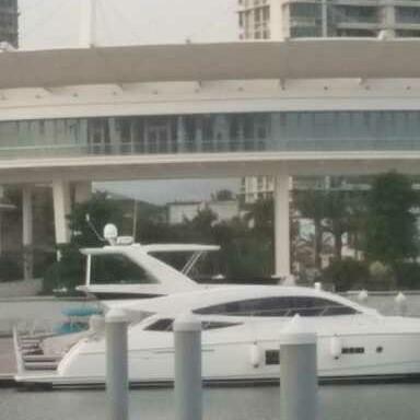 人生为啥这么难🐒加入丐帮行走八方🐒