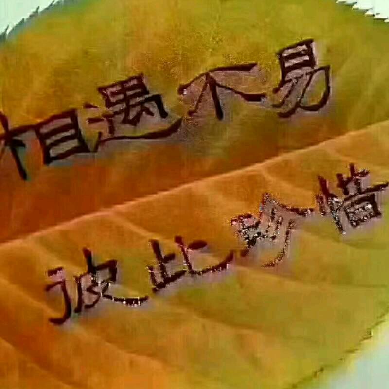 振利机电