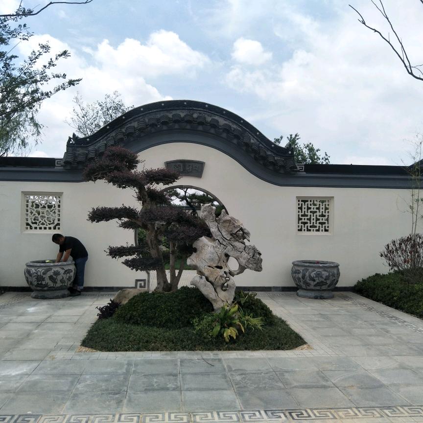 阿呆他大哥