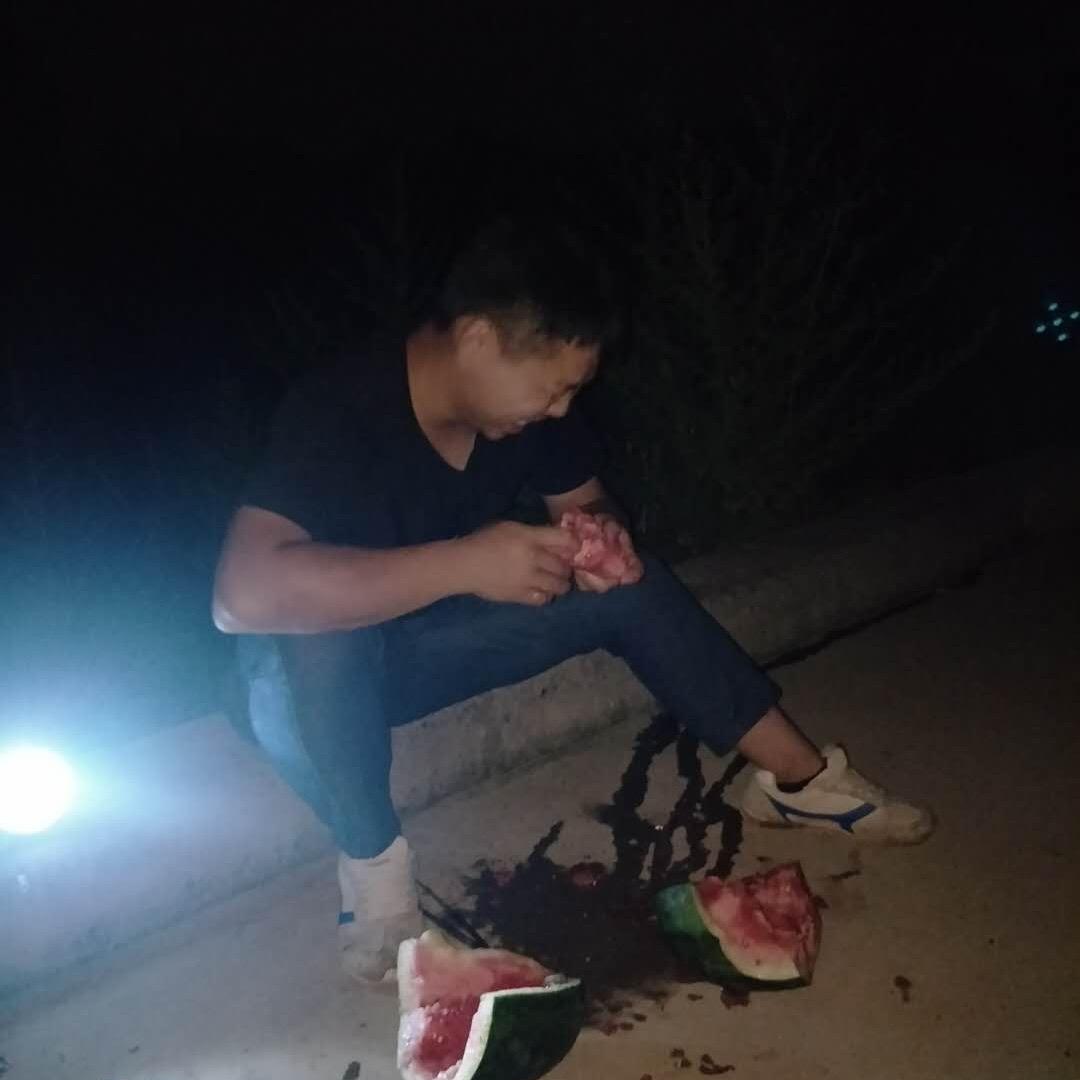 西伯利亚大灰狼