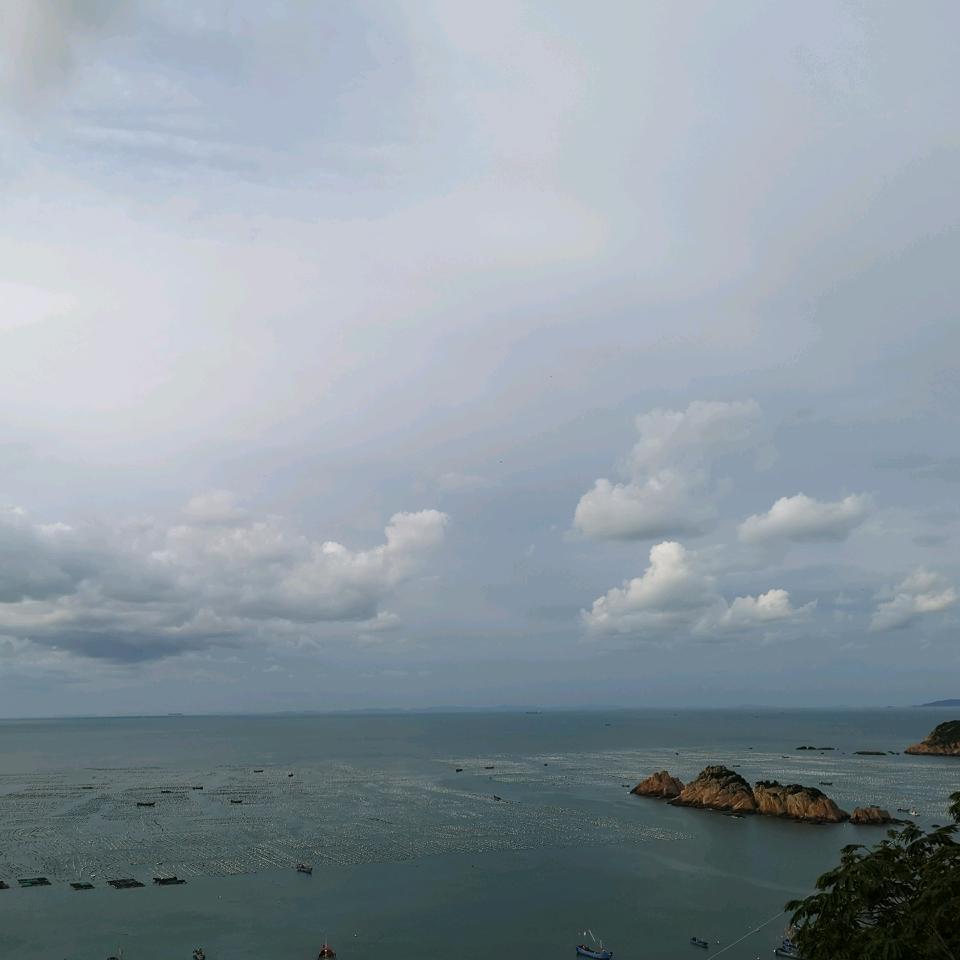 大炯炯
