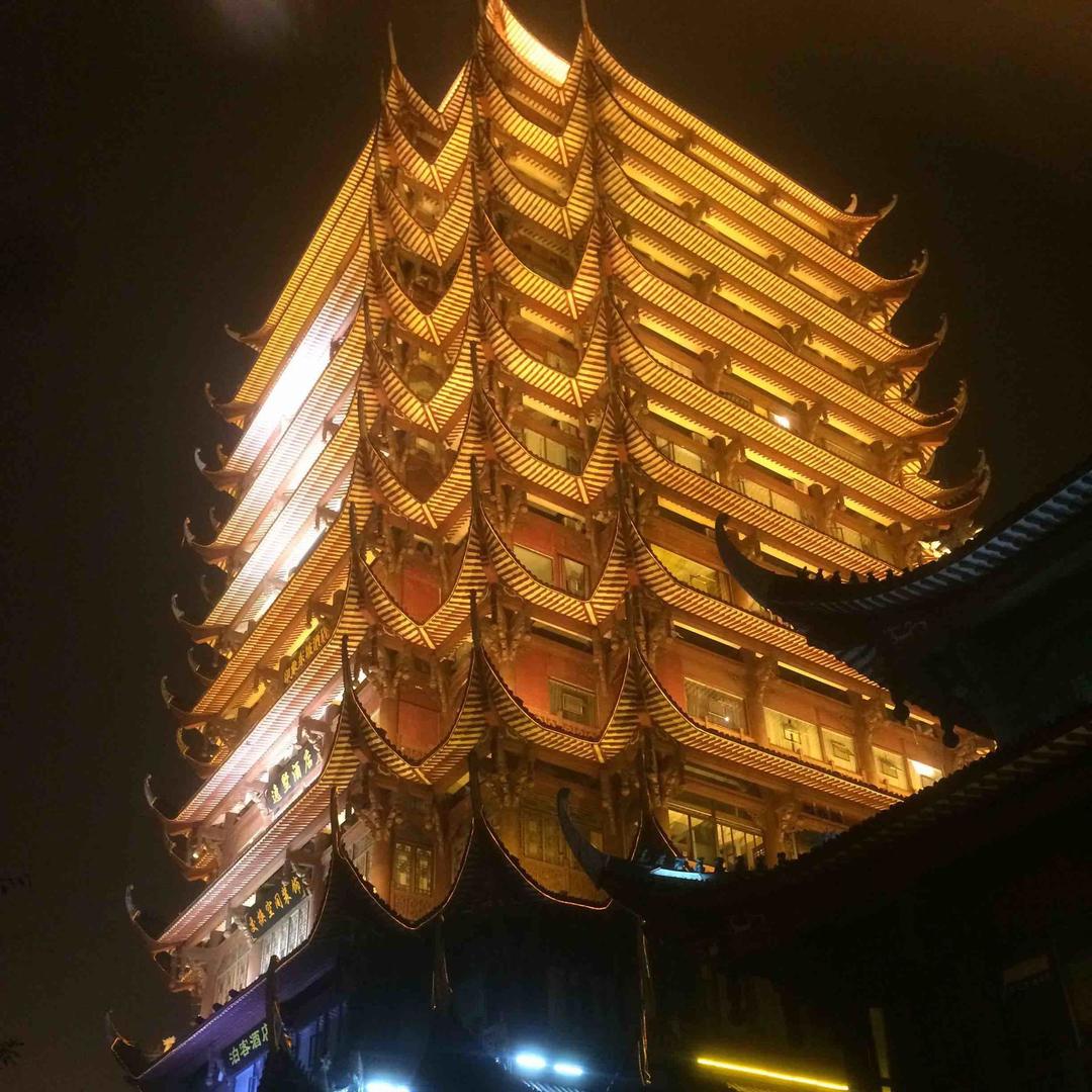 一花一世界（）