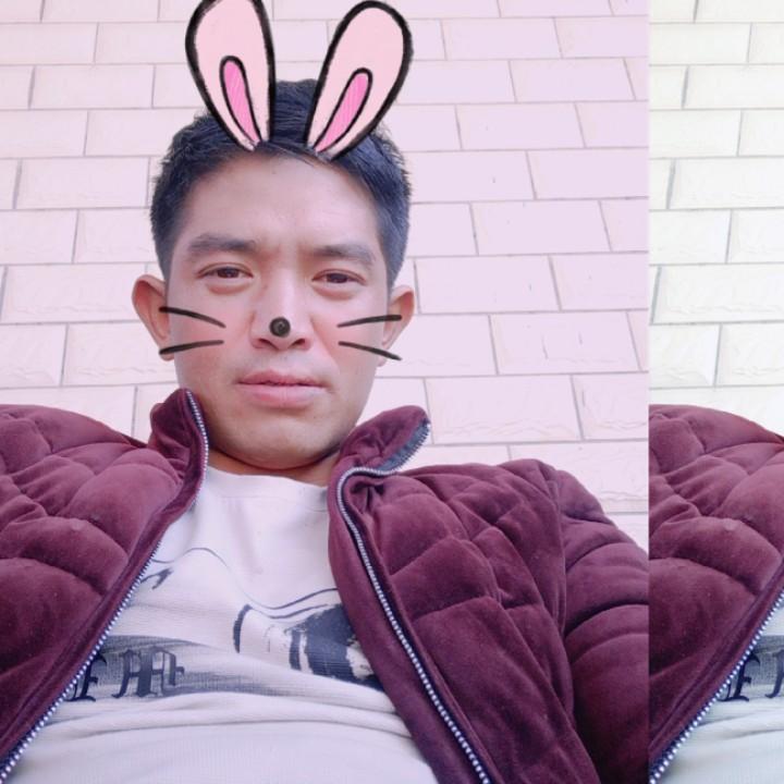 达久木果