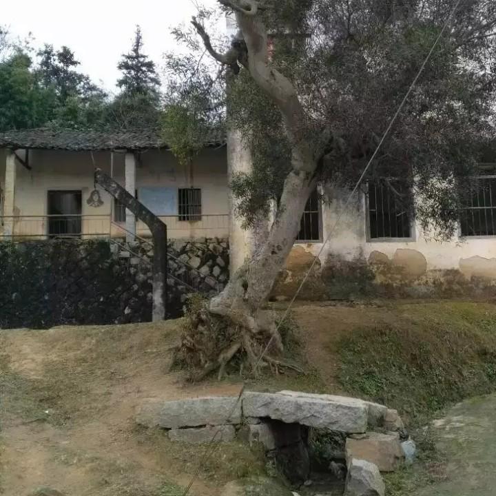 圆圆罗罗罗