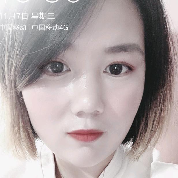树木支撑杆