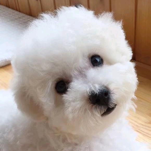 姜堰吃吃乐
