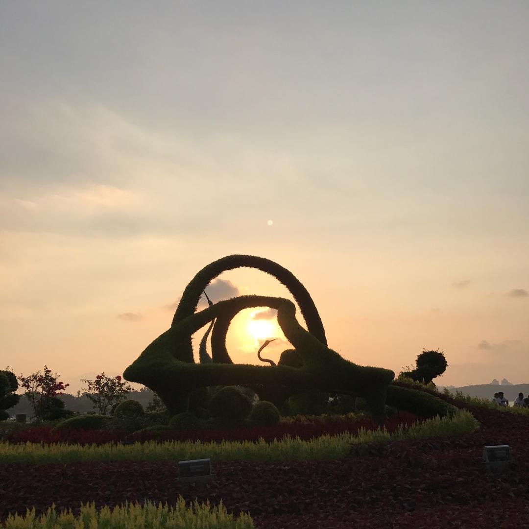 觉醒者