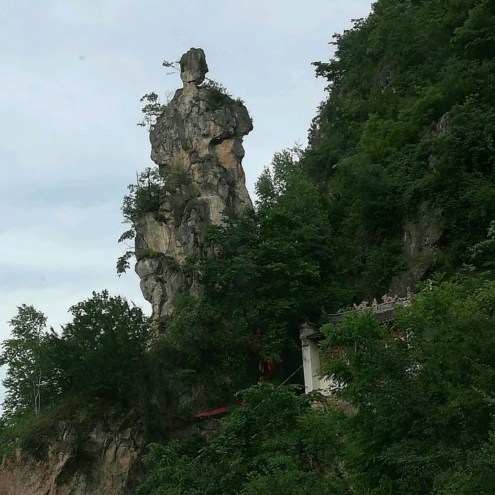 逆风飞翔
