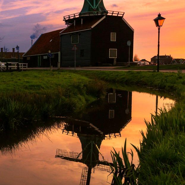 云南苏宁易购小花园店毒俊