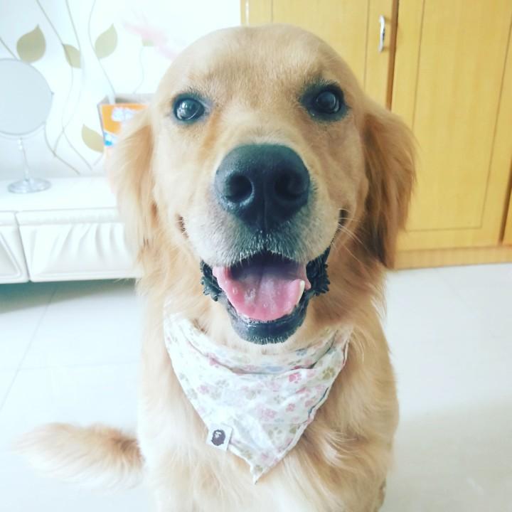 Lily不讲道李