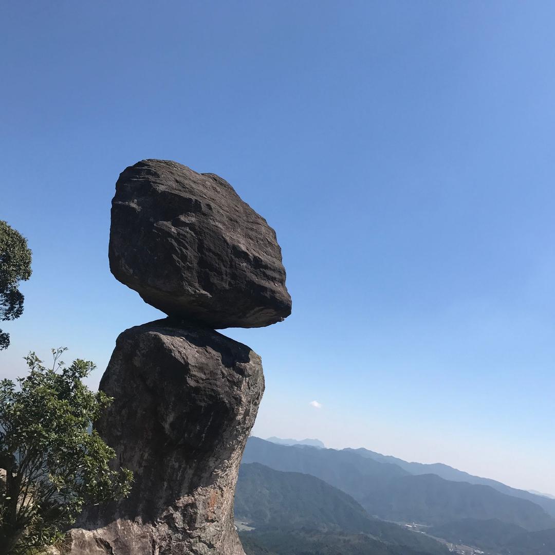 小杨精选优质产品农场