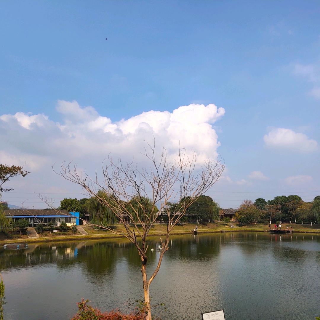 深海静流