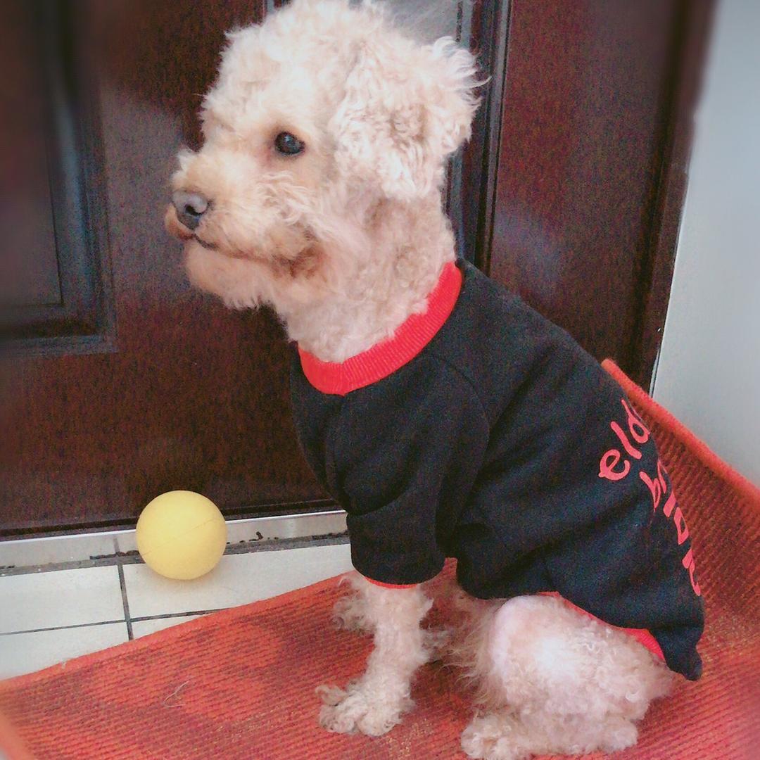 小玮。