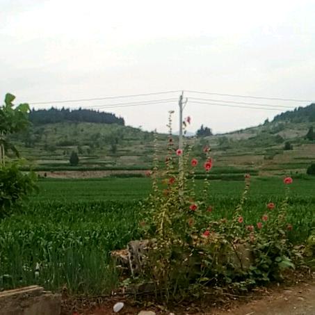 对酒当歌，人生几何