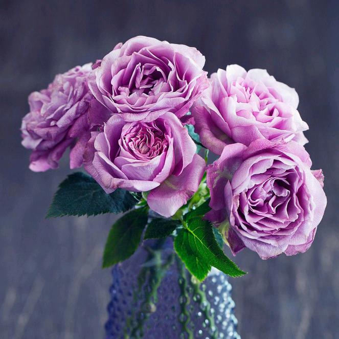 做个有良心的人