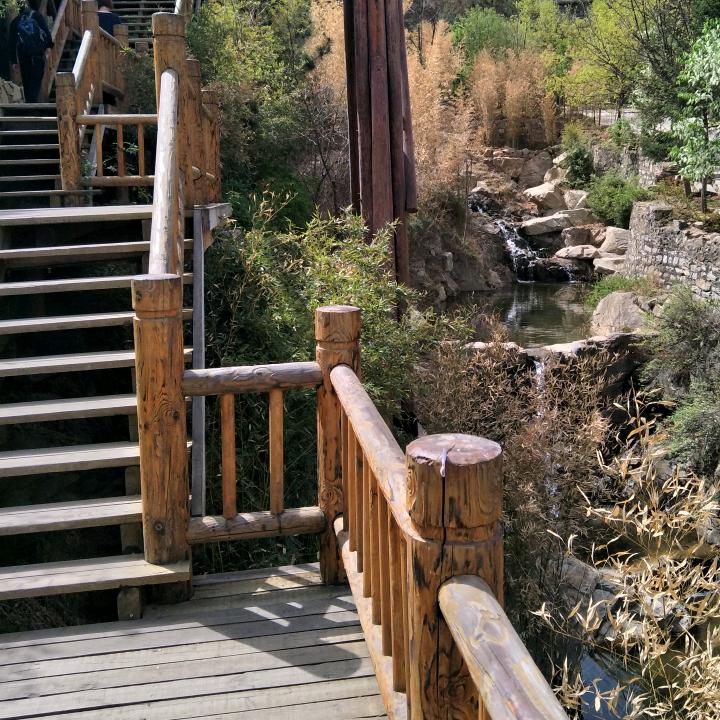 用户207533水中花