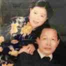 不老松
