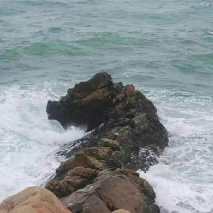 阿北843