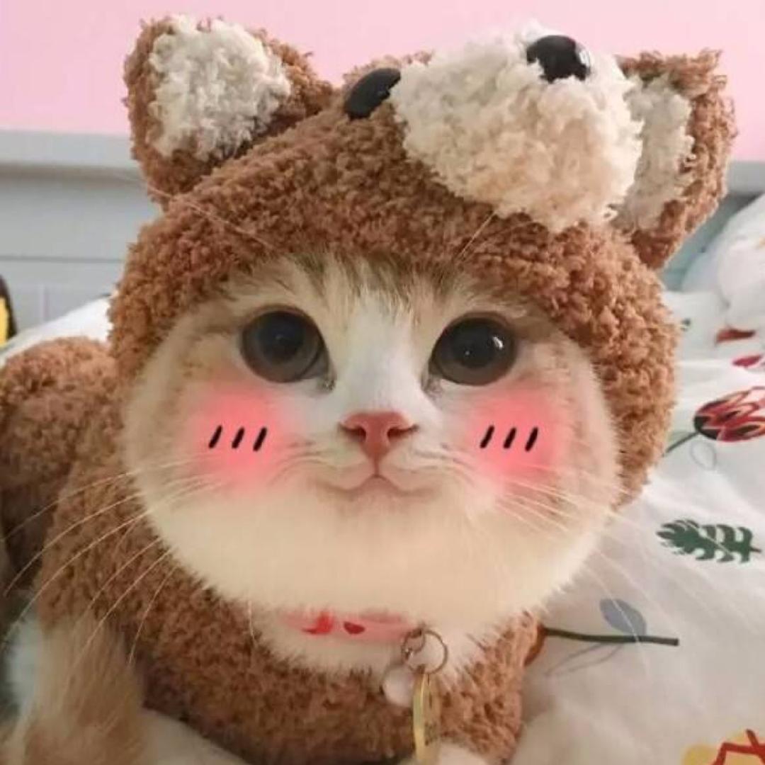 赵丶大宝