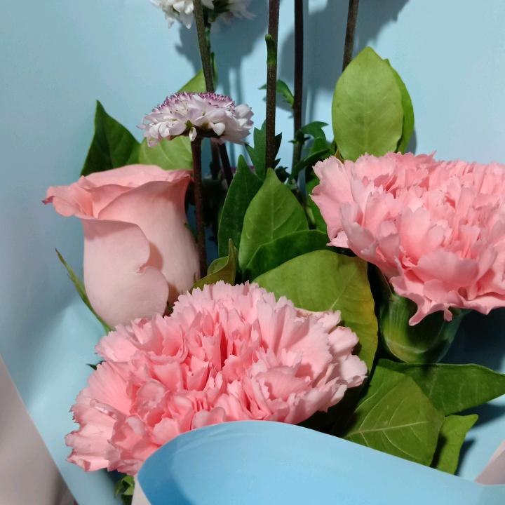 赟丽
