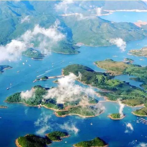 谭成沃：电动注塑机供应商