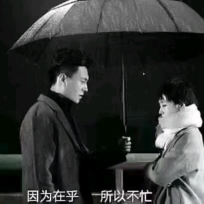 zhang侠