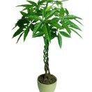 教官(林大先生）