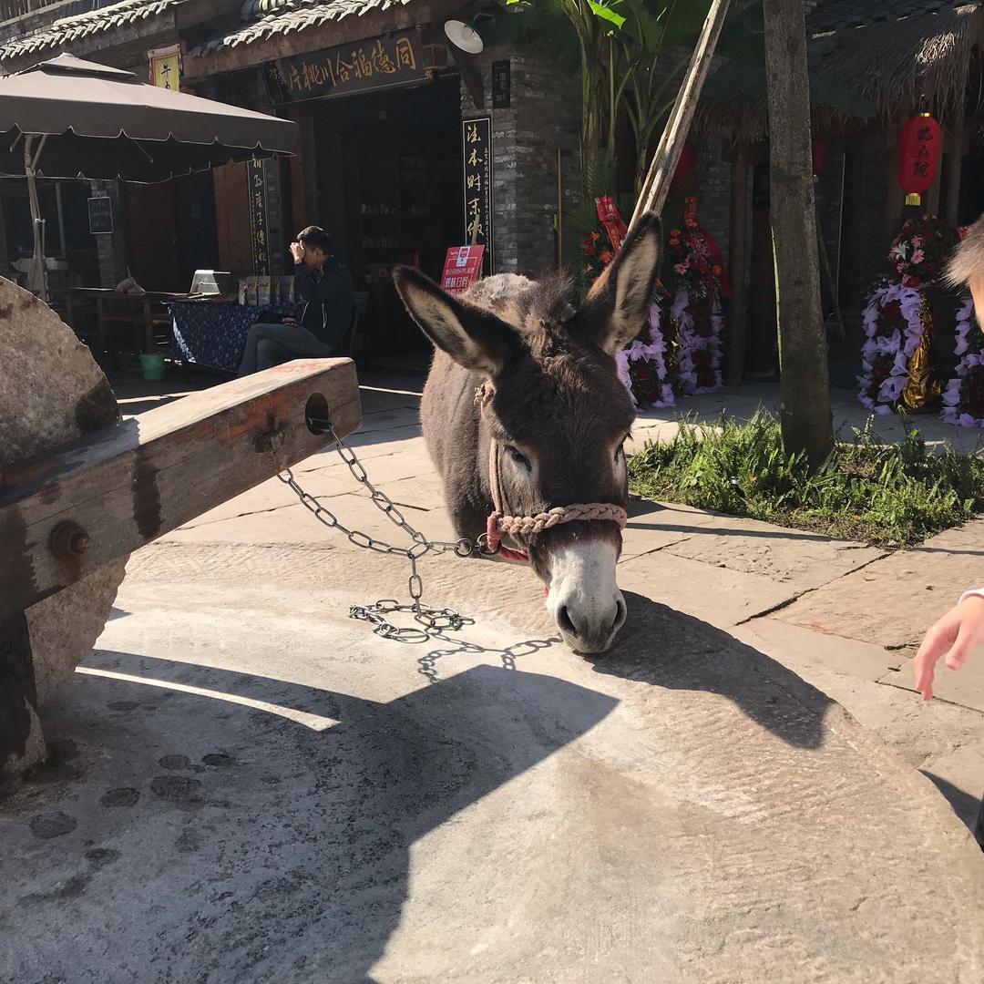 我