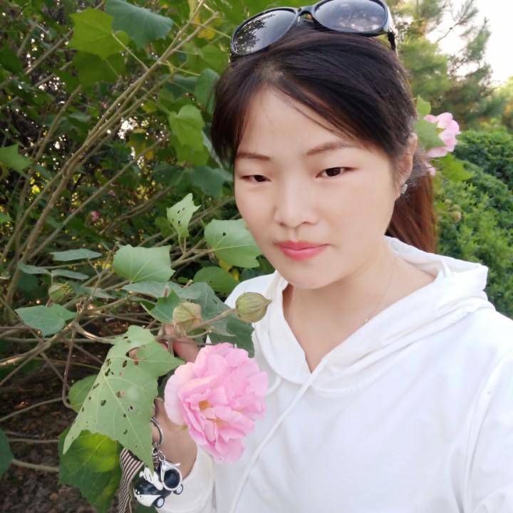 带刺的玫瑰57270