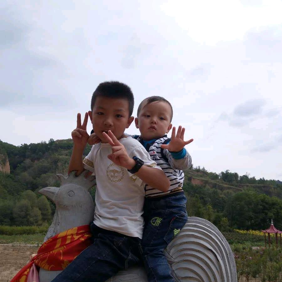 模板安装