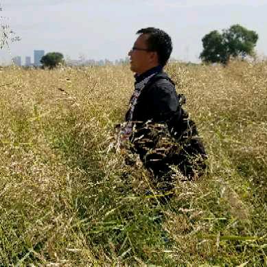 内蒙阿泰专注会奖、保险、金融品质旅游