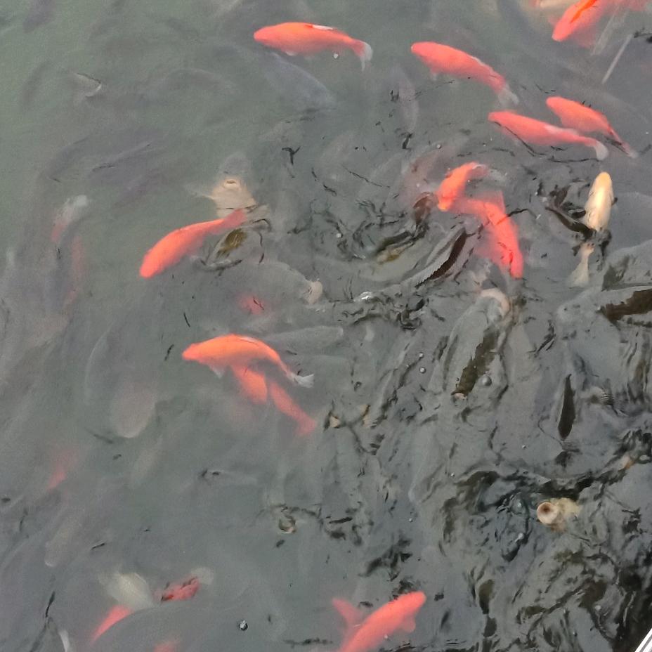╰つ゛ 专业维修沙发