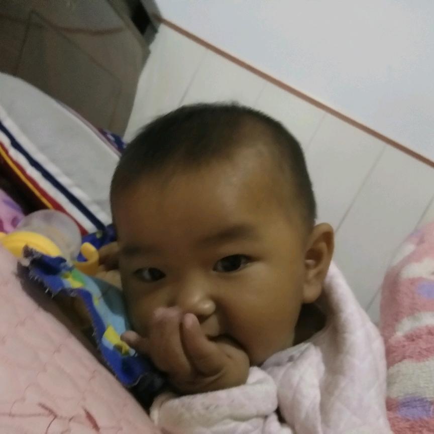 梦中情