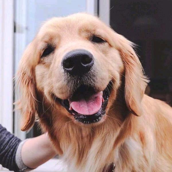 奥尚汽车改色贴膜