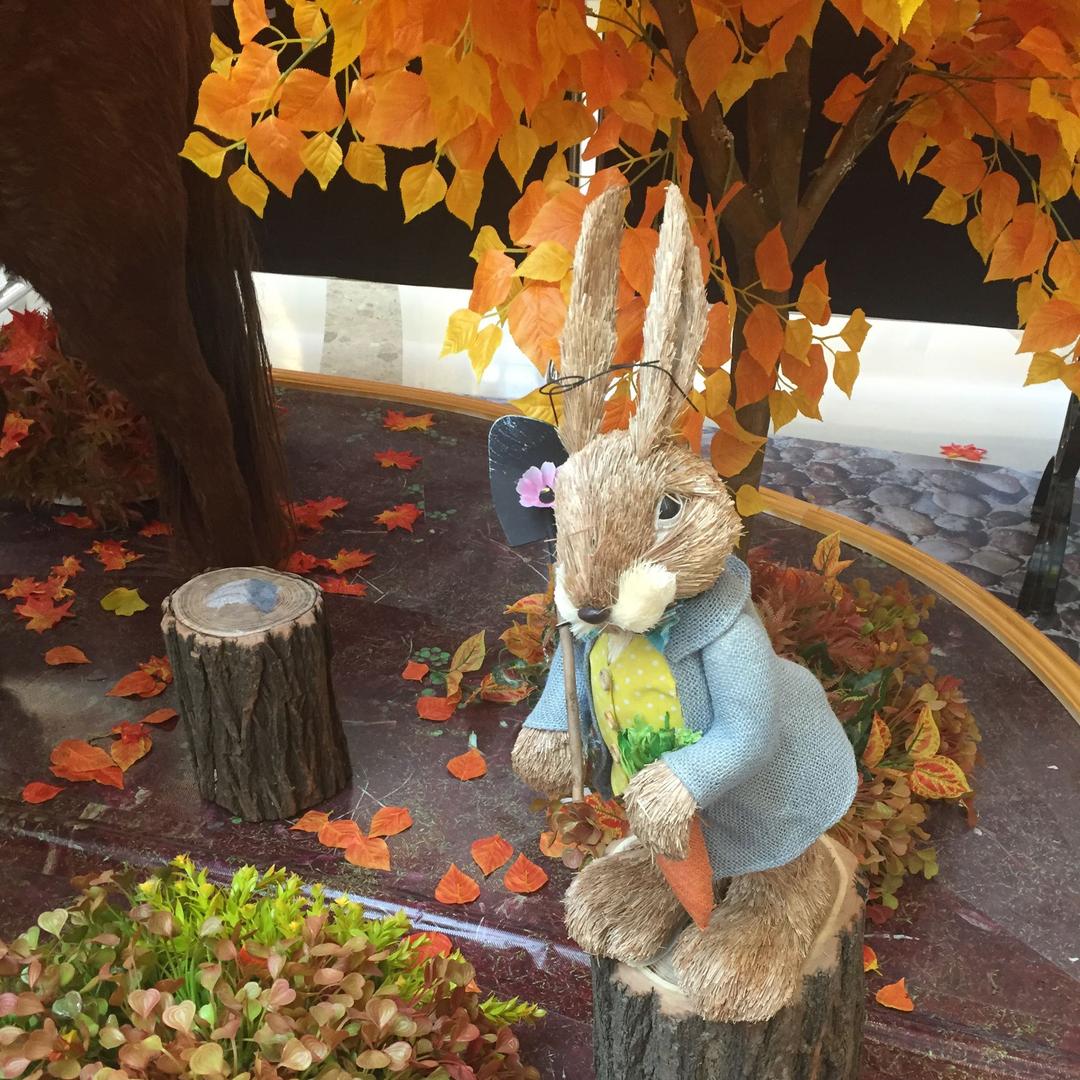 @影子中ジ尋找咱己