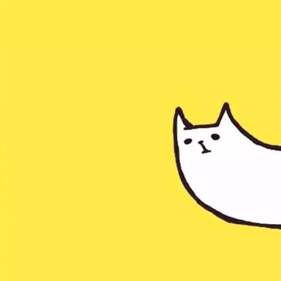 仙女不讲李🧚‍♀️