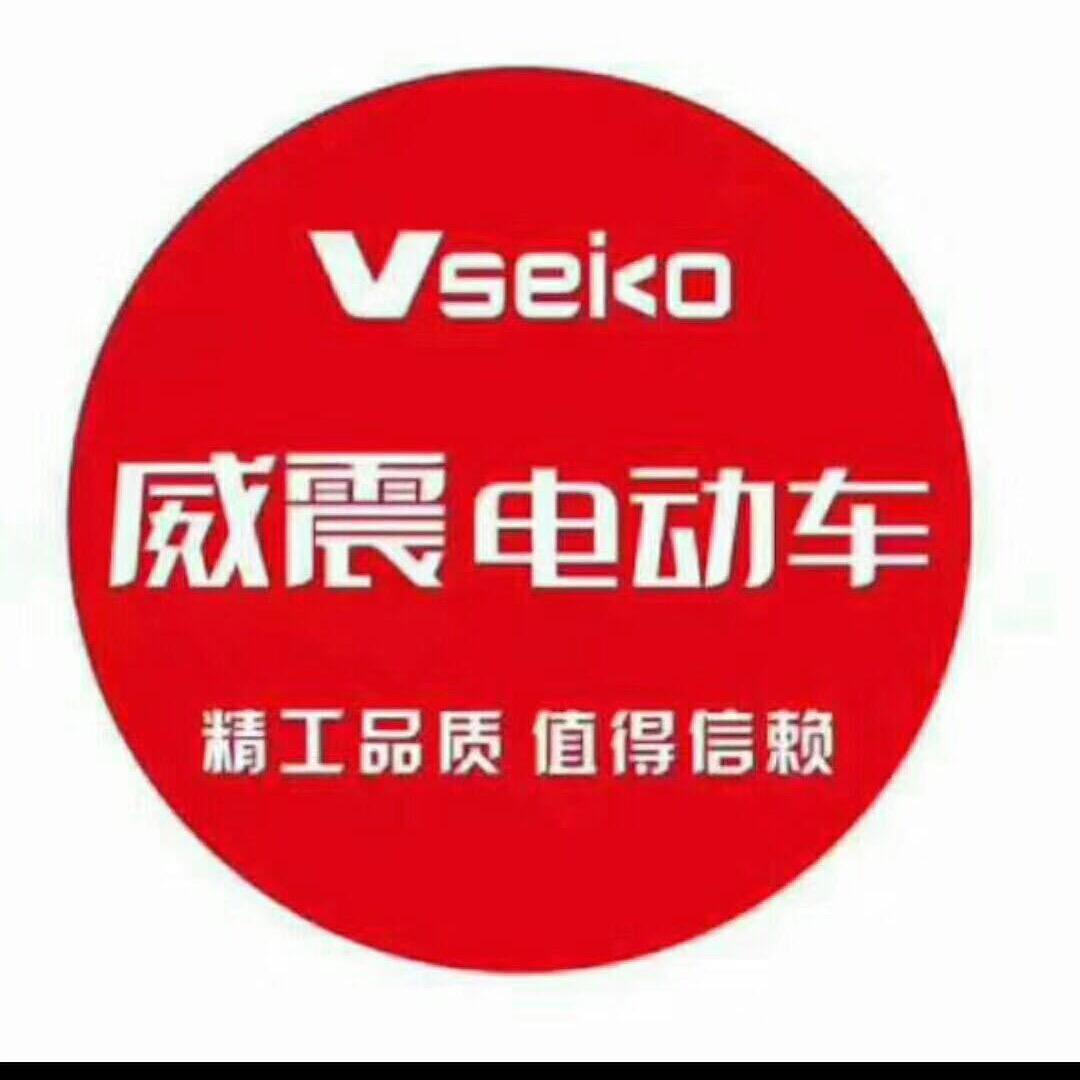 Vseiko EV Motorcycle