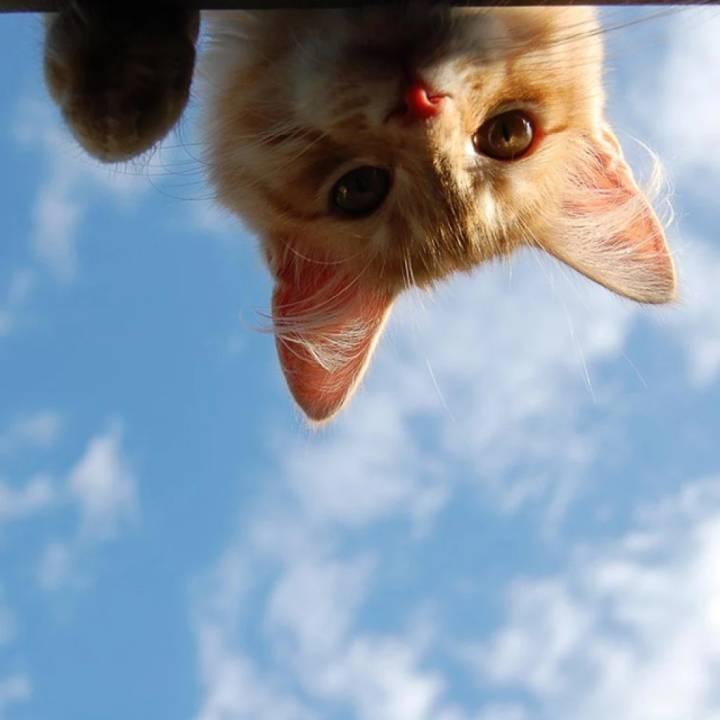 Jun