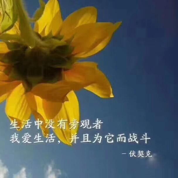 月亮船