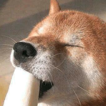 寻一世完美