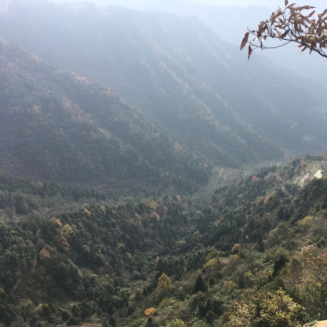 烟酒不离手，高傲往前走