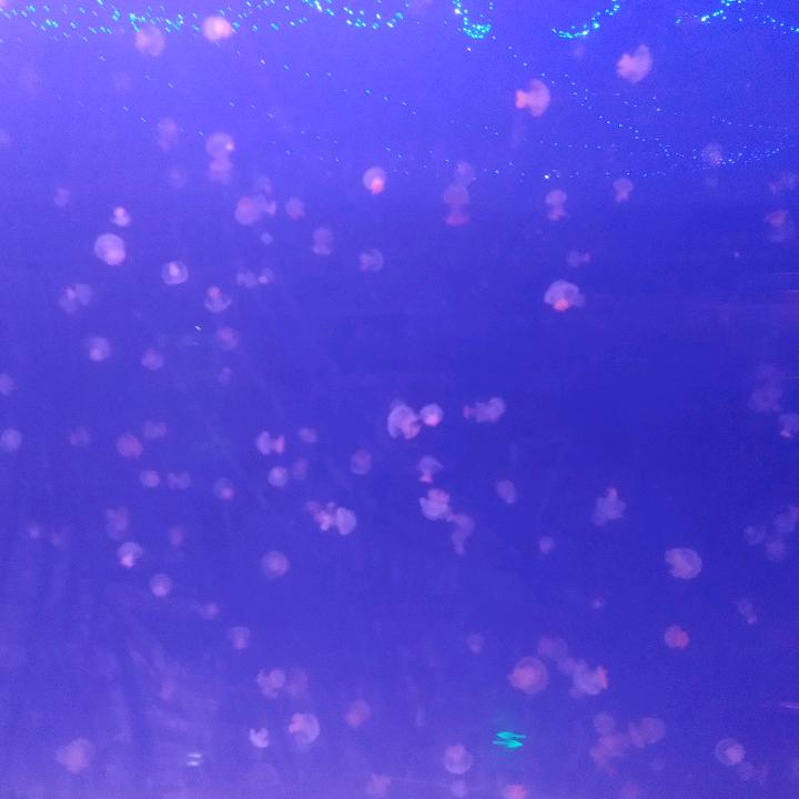 刘富贵i