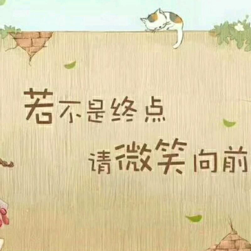 白楠