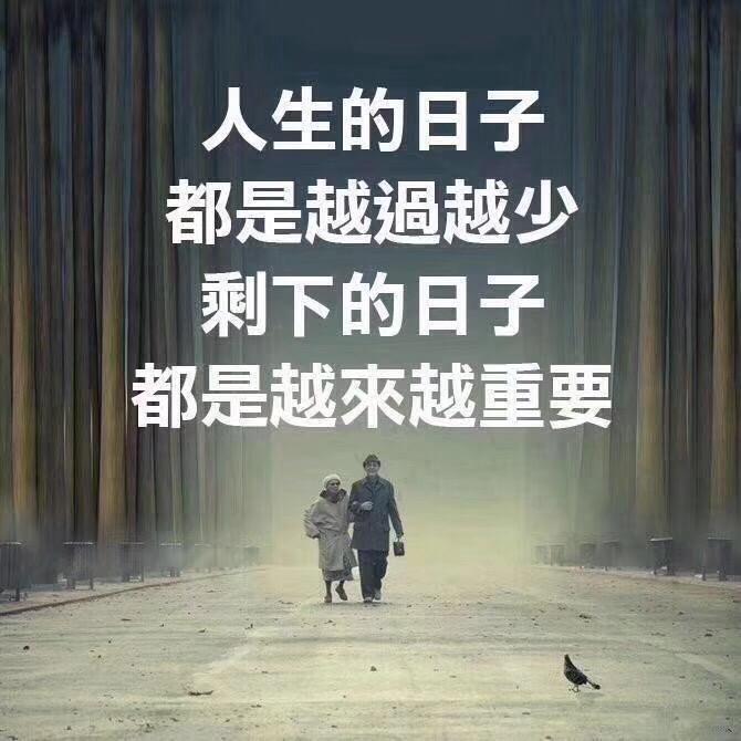 佳佳