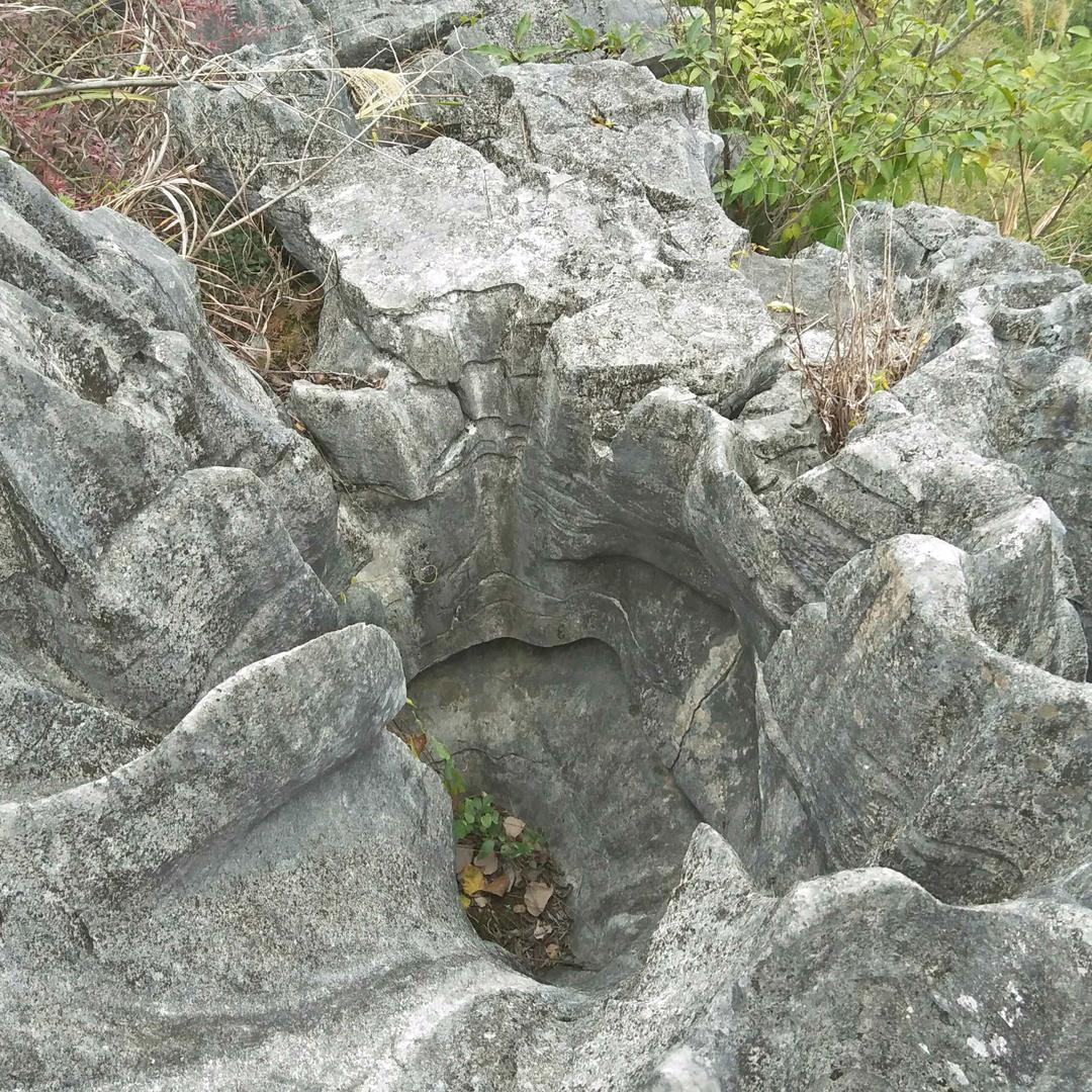 笑看人生