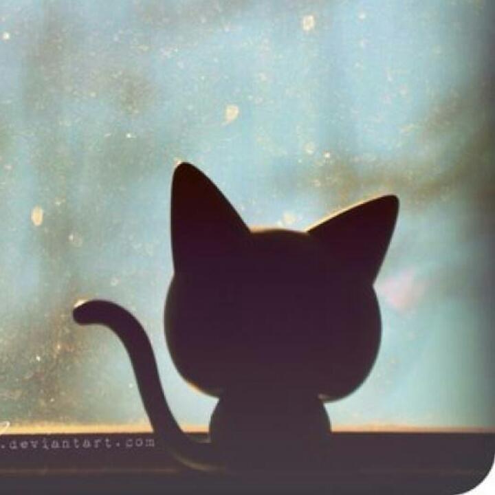 陌上。相思烬う.𓆡